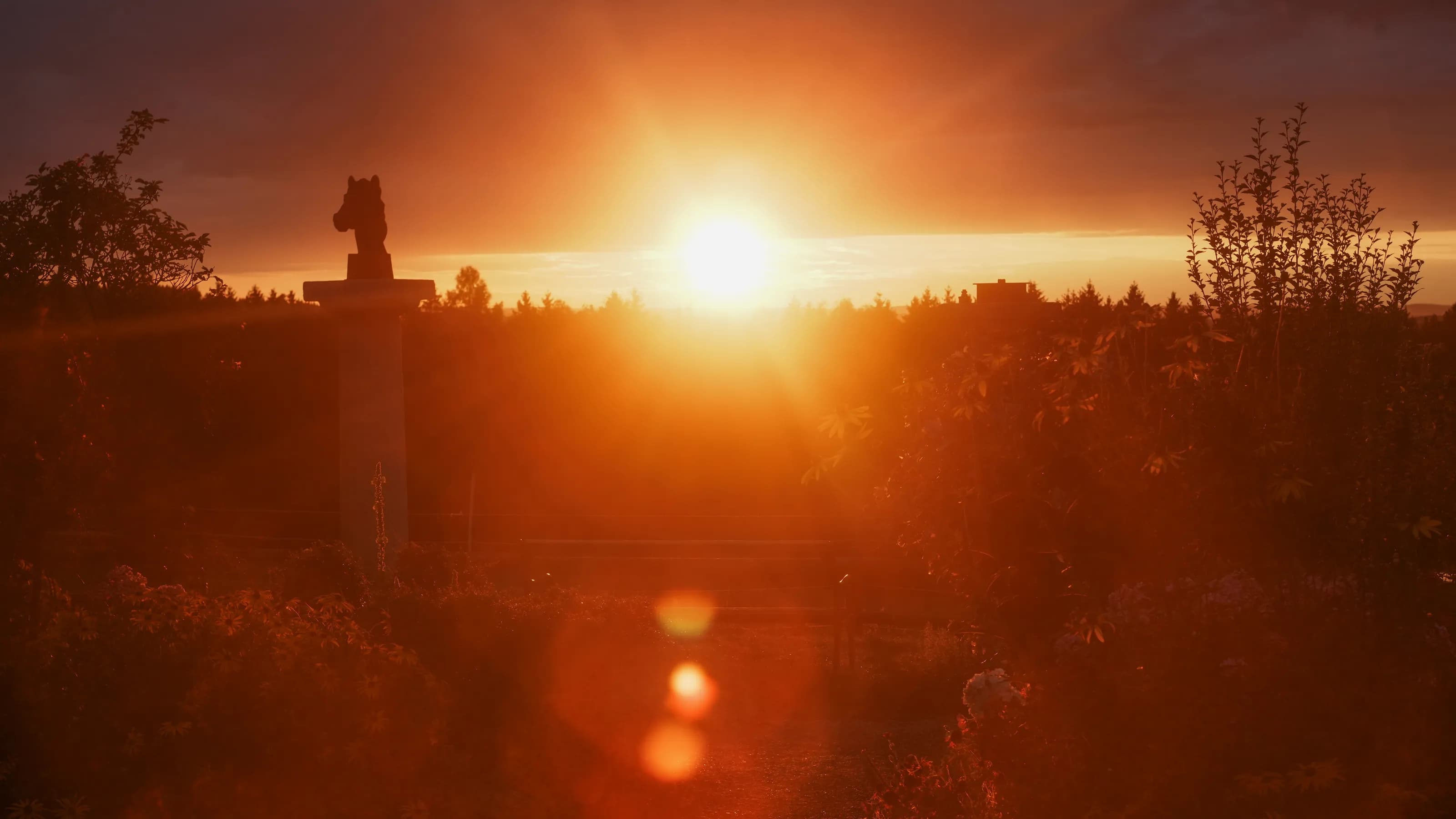 Blendende Abendsonne im Immling Garten